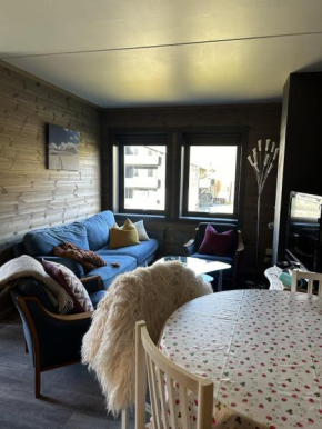 Kozy apartment in Hemsedal, centrally located